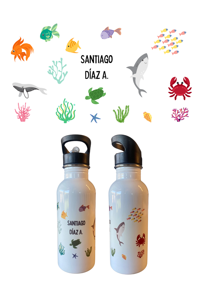 Botellas de acero inoxidable personalizadas – Iguanitos Chile